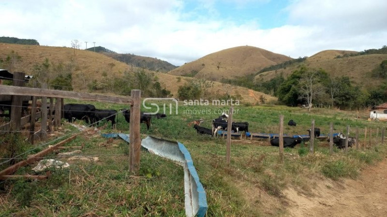 Imagem Imóvel com 1 Quarto à Venda, 1.573.000 m² em Três Barras - Cachoeira Paulista Imagem Imóvel com 1 Quarto à Venda, 1.573.000 m² em Três Barras - Cachoeira Paulista