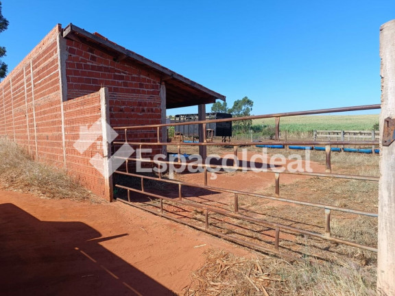 Imagem Fazenda à Venda, 5.000 m² em área Rural De Macatuba - Macatuba Imagem Fazenda à Venda, 5.000 m² em área Rural De Macatuba - Macatuba