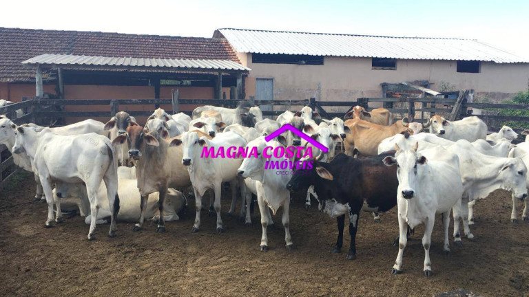Imagem Fazenda à Venda, 2 m² em Banqueiros - Araruama