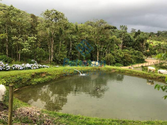 Imagem Chácara com 3 Quartos à Venda, 1.200.000 m² em Lageado Alto - Guabiruba Imagem Chácara com 3 Quartos à Venda, 1.200.000 m² em Lageado Alto - Guabiruba