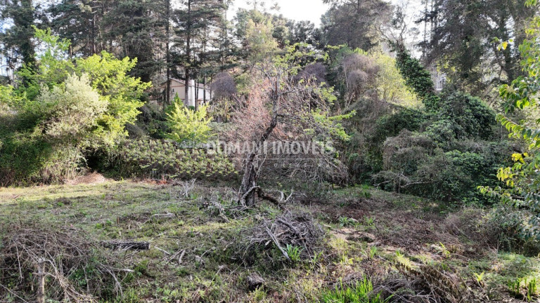 Imagem Terreno à Venda, 1.200 m² em Região De Capivari - Campos Do Jordão Imagem Terreno à Venda, 1.200 m² em Região De Capivari - Campos Do Jordão