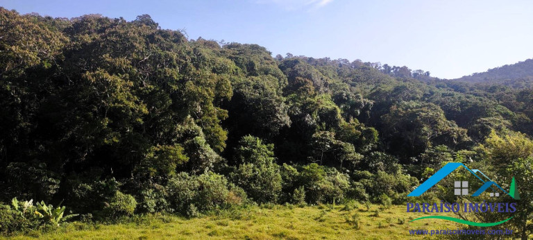Imagem Chácara à Venda, 20 m² em Centro - Paraisópolis Imagem Chácara à Venda, 20 m² em Centro - Paraisópolis