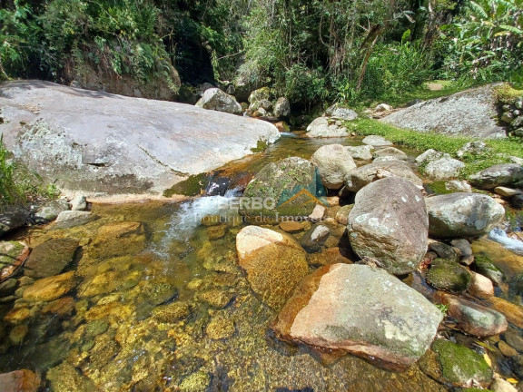 Imagem Imóvel com 4 Quartos à Venda, 110.000 m² em Vargem Grande - Teresópolis Imagem Imóvel com 4 Quartos à Venda, 110.000 m² em Vargem Grande - Teresópolis