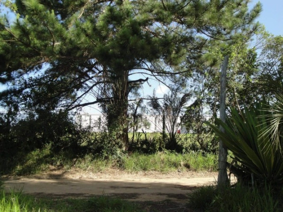 Imagem Chácara à Venda, 4 m² em águas Claras - Viamão