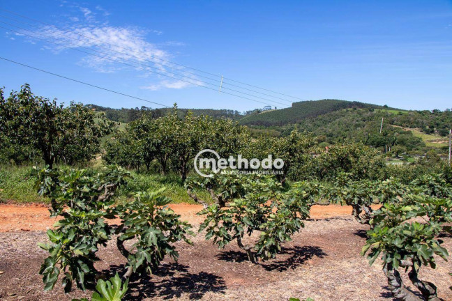 Imagem Imóvel à Venda, 56.785 m² em Feital - Morungaba Imagem Imóvel à Venda, 56.785 m² em Feital - Morungaba