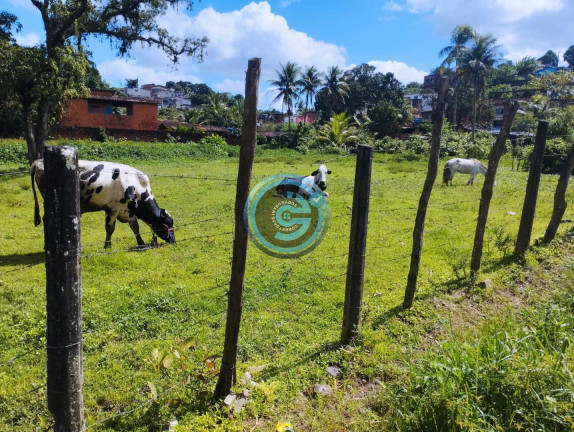 Imagem Terreno à Venda, 9.489 m² em Capibaribe - São Lourenço Da Mata