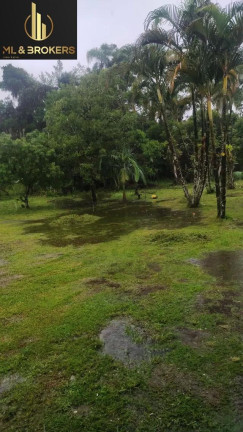 Imóvel com 3 Quartos à Venda, 120 m² em Alexandra - Paranagua