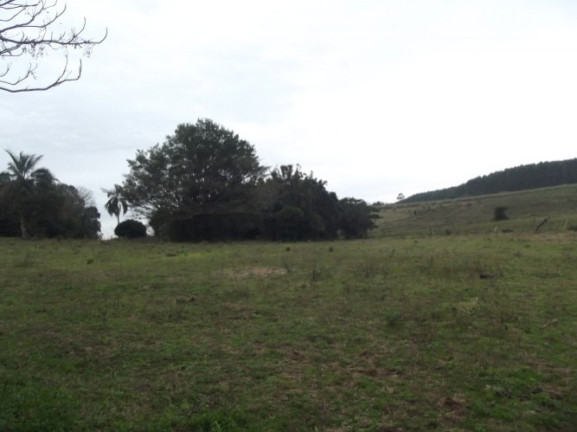Imagem Chácara com 1 Quarto à Venda, 108.000 m² em Itapuã - Viamão Imagem Chácara com 1 Quarto à Venda, 108.000 m² em Itapuã - Viamão