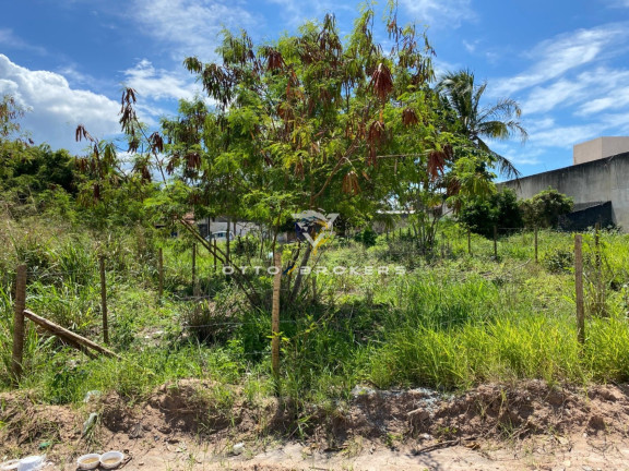 Terreno à Venda, 200 m² em Nova Cabrália - Santa Cruz Cabrália