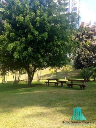 Imagem Apartamento com 3 Quartos à Venda, 250 m² em Jardim Vitória Régia - São Paulo Imagem Apartamento com 3 Quartos à Venda, 250 m² em Jardim Vitória Régia - São Paulo