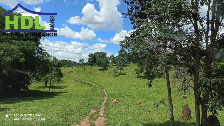 Imagem Fazenda à Venda, 21 m² em Zona Rural - Hidrolândia Imagem Fazenda à Venda, 21 m² em Zona Rural - Hidrolândia