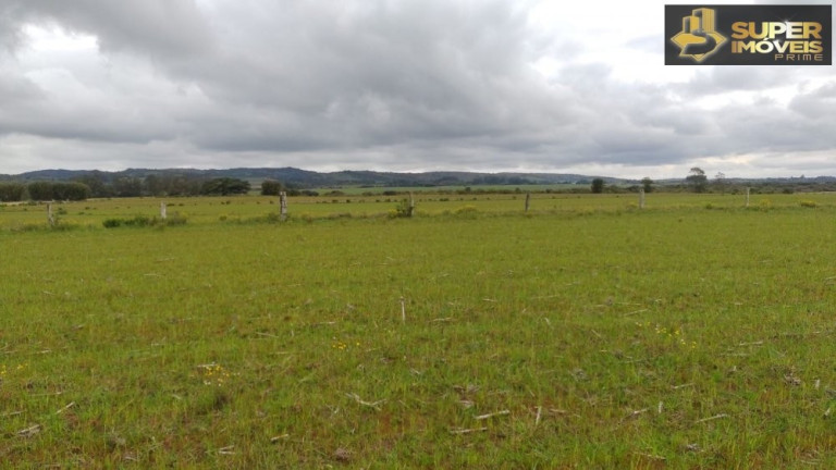 Imagem Imóvel com 3 Quartos à Venda, 660.000 m² em Zona Rural - Capão Do Leão