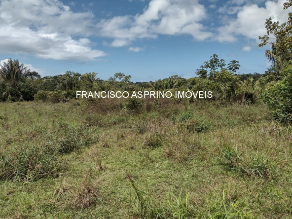 Imagem Imóvel à Venda, 2 m² em Serra Grande - Uruçuca Imagem Imóvel à Venda, 2 m² em Serra Grande - Uruçuca
