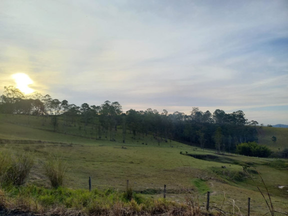 Imagem Fazenda à Venda, 5.000 m² em Itapeti - Mogi Das Cruzes Imagem Fazenda à Venda, 5.000 m² em Itapeti - Mogi Das Cruzes