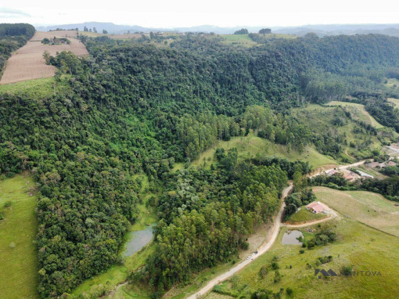Imagem Fazenda à Venda, 87.500 m² em Centro - Witmarsum
