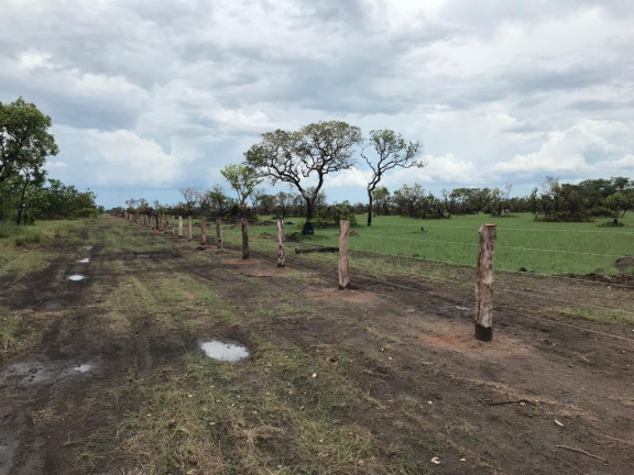 Imagem Fazenda à Venda, 3.100 m² em Rural - Porto Alegre Do Norte