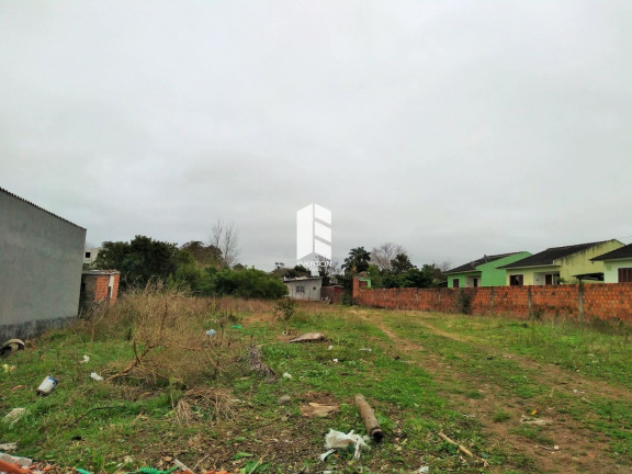 Imagem Terreno à Venda, 1.000 m² em Pinheiro Machado - Santa Maria