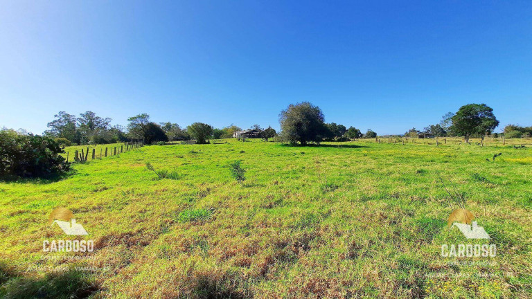 Imagem Fazenda à Venda, 20.000 m² em águas Claras - Viamão Imagem Fazenda à Venda, 20.000 m² em águas Claras - Viamão
