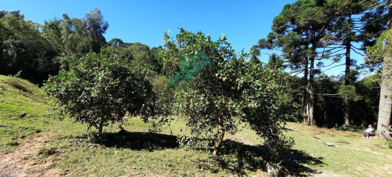Imagem Chácara com 2 Quartos à Venda, 60 m² em Serra Do Araçatuba - Tijucas Do Sul Imagem Chácara com 2 Quartos à Venda, 60 m² em Serra Do Araçatuba - Tijucas Do Sul