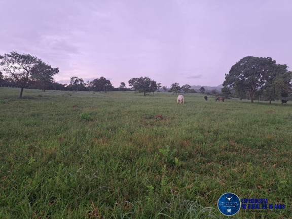 Imagem Chácara à Venda, 10 m² em Zona Rural - Itapuranga Imagem Chácara à Venda, 10 m² em Zona Rural - Itapuranga
