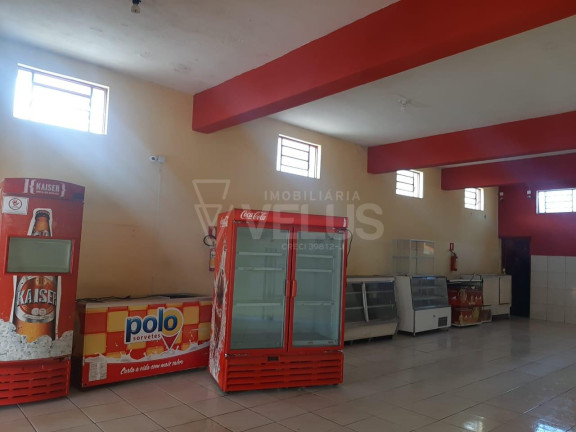 Imagem Imóvel com 2 Quartos à Venda, 240 m² em Vila Piedade - Itapetininga Imagem Imóvel com 2 Quartos à Venda, 240 m² em Vila Piedade - Itapetininga
