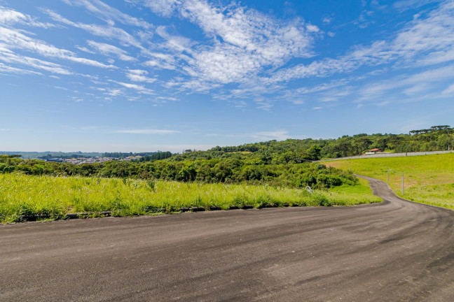 Imagem Terreno à Venda, 815 m² em Ferraria - Campo Largo Imagem Terreno à Venda, 815 m² em Ferraria - Campo Largo