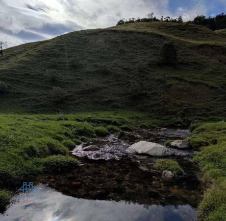 Imagem Terreno à Venda, 100.000 m² em Centro - Angelina Imagem Terreno à Venda, 100.000 m² em Centro - Angelina