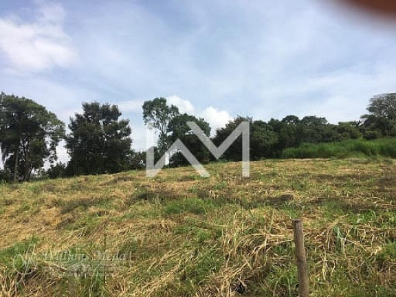 Imagem Terreno à Venda, 8.000 m² em Parque Edu Chaves - São Paulo Imagem Terreno à Venda, 8.000 m² em Parque Edu Chaves - São Paulo