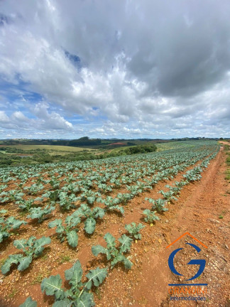 Imagem Imóvel com 3 Quartos à Venda, em Minas Gerais - Munhoz Imagem Imóvel com 3 Quartos à Venda, em Minas Gerais - Munhoz