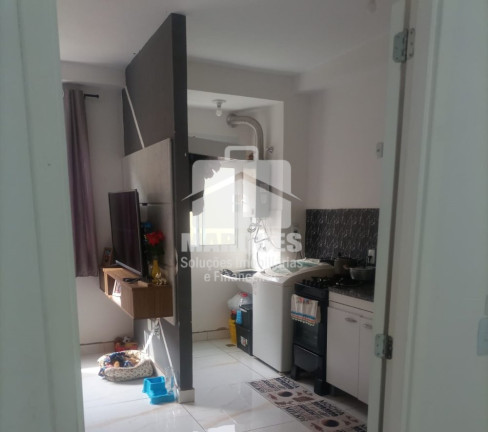 Imagem Apartamento com 2 Quartos à Venda, 42 m² em Jardim Das Flores - Hortolândia Imagem Apartamento com 2 Quartos à Venda, 42 m² em Jardim Das Flores - Hortolândia