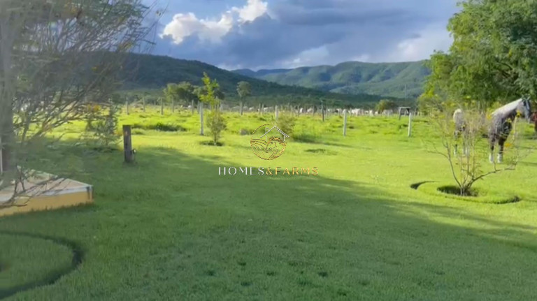 Imagem Imóvel com 4 Quartos à Venda, 3.146 m² em Zona Rural - Minaçu Imagem Imóvel com 4 Quartos à Venda, 3.146 m² em Zona Rural - Minaçu