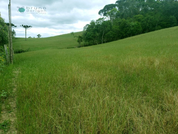 Imagem Imóvel à Venda, 70.000 m² em Zona Rural - Alfredo Wagner Imagem Imóvel à Venda, 70.000 m² em Zona Rural - Alfredo Wagner