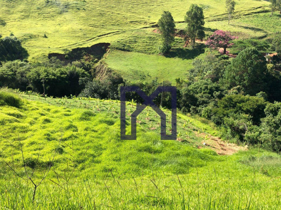 Imagem Fazenda à Venda, 390.000 m² em Wenceslau Braz - Wenceslau Braz