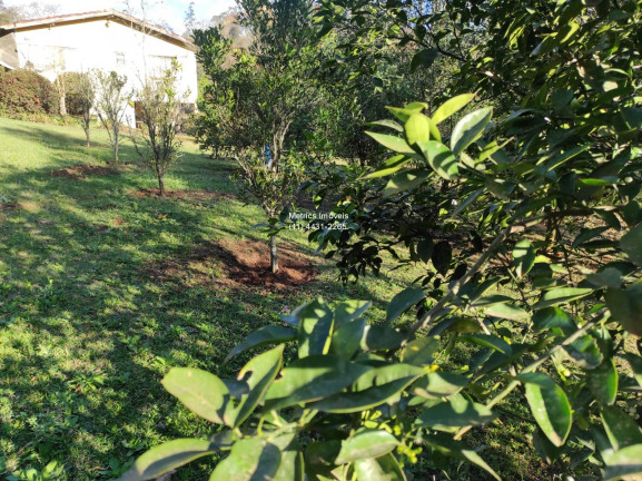 Imagem Imóvel com 5 Quartos à Venda, em Pau Arcado - Campo Limpo Paulista Imagem Imóvel com 5 Quartos à Venda, em Pau Arcado - Campo Limpo Paulista