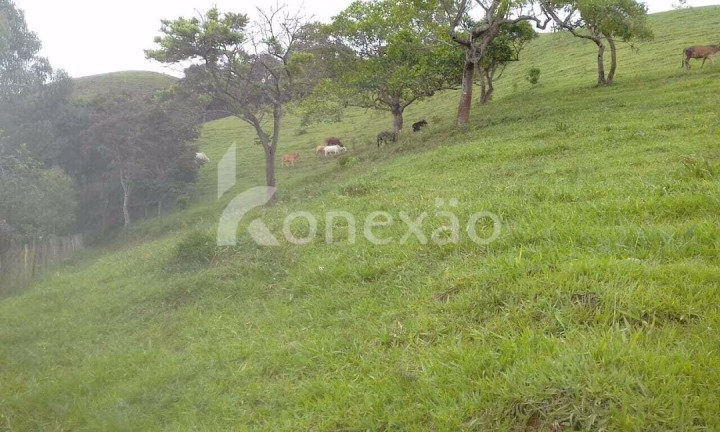Imagem Fazenda à Venda, 400 m² em Centro - Jacareí