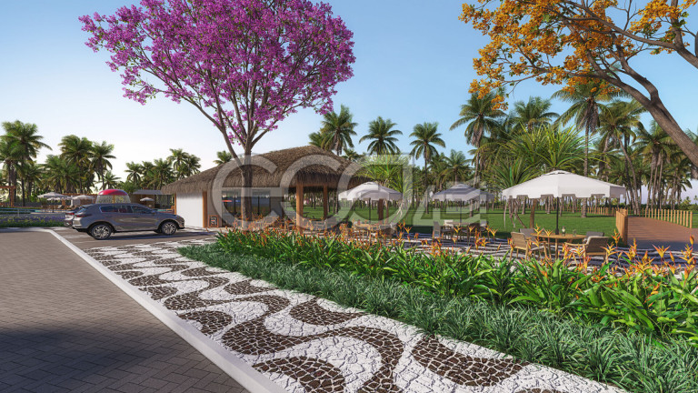 Imagem Terreno à Venda, 200 m² em Centro - Barra Dos Coqueiros