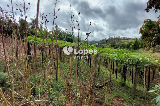 Imagem Imóvel com 1 Quarto à Venda, 43.000 m² em Parque Eldorado - Campinas Imagem Imóvel com 1 Quarto à Venda, 43.000 m² em Parque Eldorado - Campinas