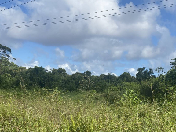 Imagem Terreno à Venda, 156.000 m² em Belas Artes - Itanhaém Imagem Terreno à Venda, 156.000 m² em Belas Artes - Itanhaém