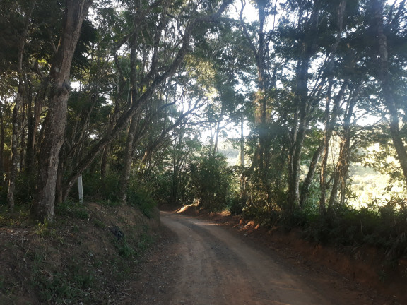 Imagem Terreno à Venda, 1.000 m² em Ortizes - Piedade Imagem Terreno à Venda, 1.000 m² em Ortizes - Piedade
