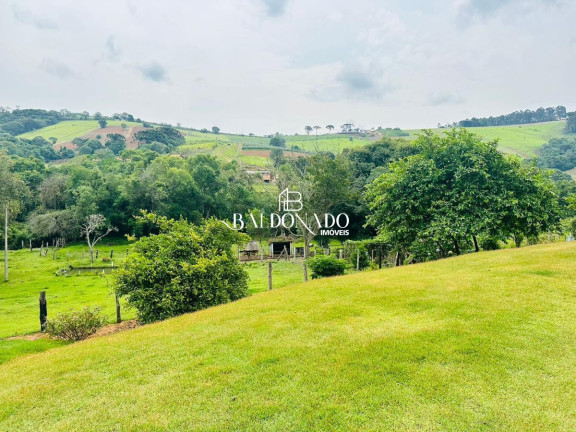 Imagem Fazenda à Venda, 15.385 m² em Toledo - Toledo Imagem Fazenda à Venda, 15.385 m² em Toledo - Toledo