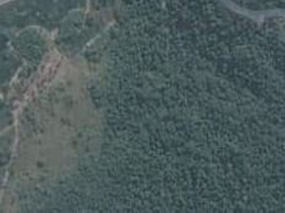 Imagem Imóvel à Venda, 220.000 m² em Zona Rural - Jacutinga Imagem Imóvel à Venda, 220.000 m² em Zona Rural - Jacutinga