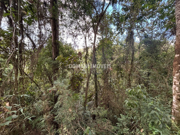 Imagem Terreno à Venda, 5.820 m² em Região Do Parque Da água Santa - Campos Do Jordão Imagem Terreno à Venda, 5.820 m² em Região Do Parque Da água Santa - Campos Do Jordão