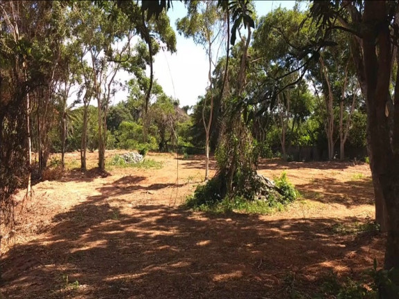 Imagem Imóvel à Venda, 4.500 m² em Estrada Do Coco - Lauro De Freitas Imagem Imóvel à Venda, 4.500 m² em Estrada Do Coco - Lauro De Freitas