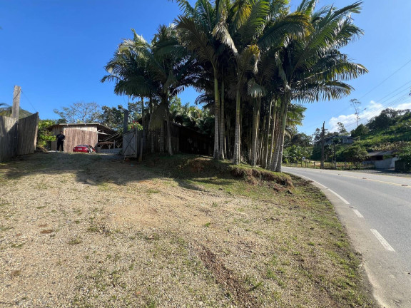 Imagem Chácara com 3 Quartos à Venda, 2.600.000 m² em Massaranduba Imagem Chácara com 3 Quartos à Venda, 2.600.000 m² em Massaranduba