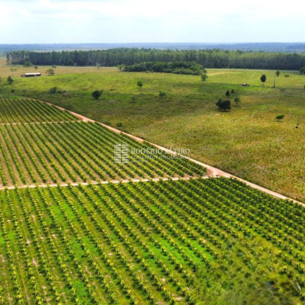 Imagem Imóvel com 3 Quartos à Venda, 9.600.000 m² em Centro - Tomé-açú Imagem Imóvel com 3 Quartos à Venda, 9.600.000 m² em Centro - Tomé-açú