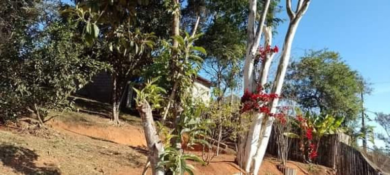 Imagem Imóvel com 2 Quartos à Venda, 120 m² em Bairro Barro Branco - Lagoinha Imagem Imóvel com 2 Quartos à Venda, 120 m² em Bairro Barro Branco - Lagoinha