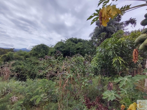 Imagem Terreno à Venda, 7.700 m² em Fazendinha Do Barão - Santa Luzia Imagem Terreno à Venda, 7.700 m² em Fazendinha Do Barão - Santa Luzia