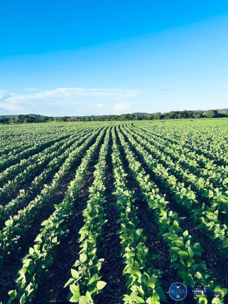 Imagem Fazenda à Venda, 822 m² em Zona Rural - Araguaína Imagem Fazenda à Venda, 822 m² em Zona Rural - Araguaína