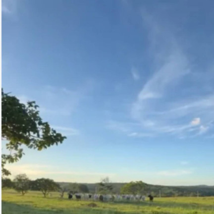 Imagem Fazenda à Venda, 29 m² em Setor Central - Ipameri Imagem Fazenda à Venda, 29 m² em Setor Central - Ipameri