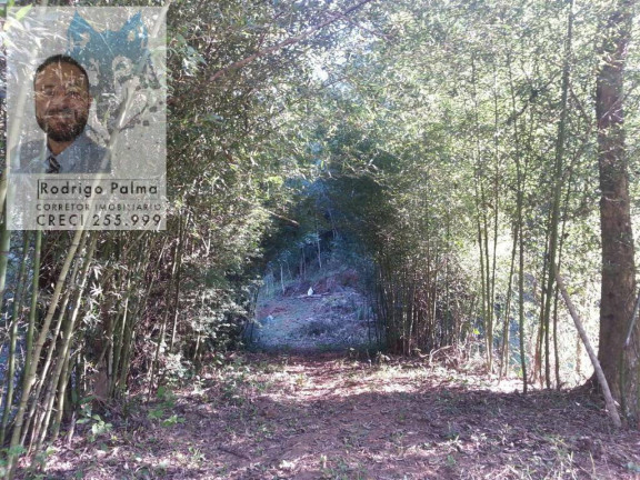 Imagem Chácara com 5 Quartos à Venda, 6 m² em Monteiro Lobato Imagem Chácara com 5 Quartos à Venda, 6 m² em Monteiro Lobato